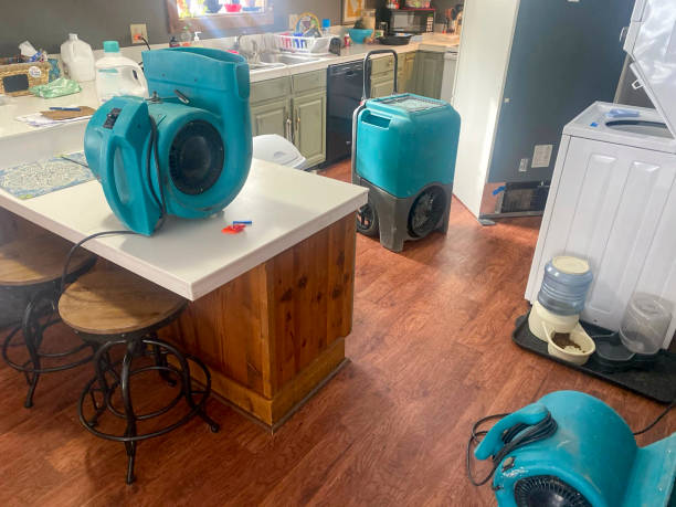 Water damage restoration mold remediation in Innovation, VA