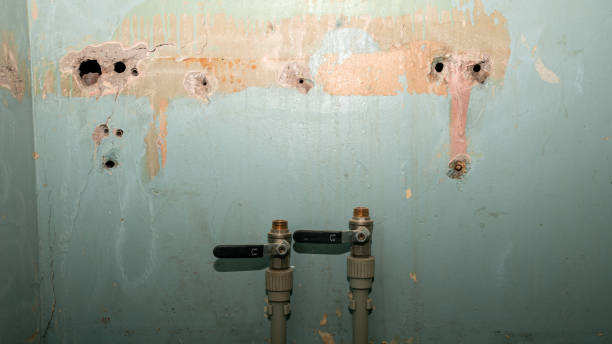 Best Local water damage restoration  in Innotion, VA